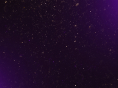 NEW YEARS GLITTER 02