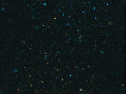 NEW YEARS GLITTER 05