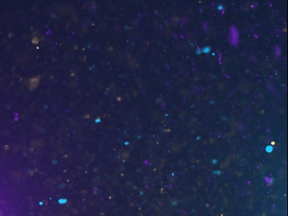 NEW YEARS GLITTER 10