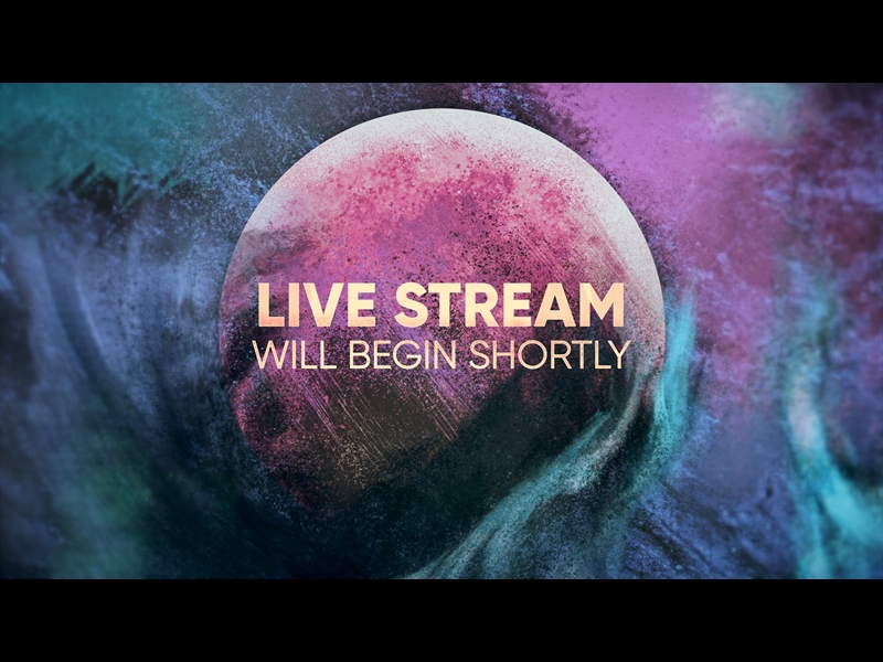 PAINTED COSMOS LIVE STREAM