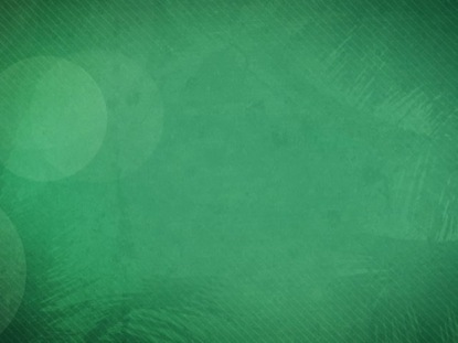 PALM SUNDAY BRANCHES 02