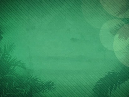 PALM SUNDAY BRANCHES 05