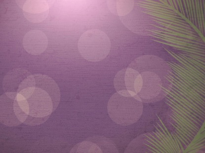 PALM SUNDAY BOKEH 02