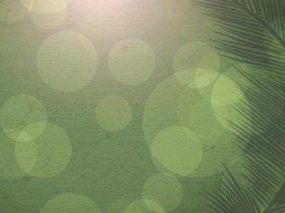 PALM SUNDAY BOKEH 03