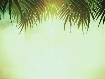 PALM SUNDAY MOTION 03