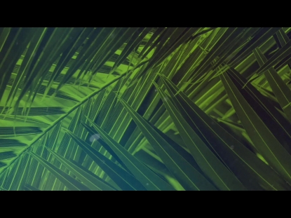 PALM SUNDAY STREAMING 01