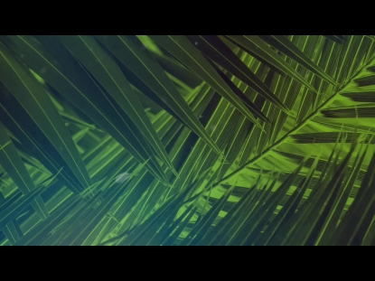 PALM SUNDAY STREAMING 02