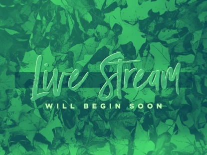 PEACEFUL AUTUMN LIVE STREAM