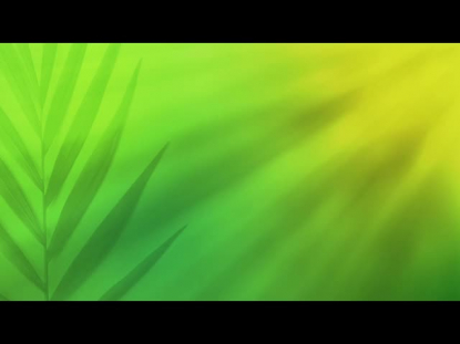 RADIANT BLUR PALM SUNDAY 02