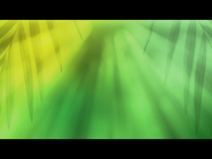 RADIANT BLUR PALM SUNDAY 03