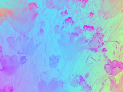 RADIANT GRADIENT FLOWERS 05