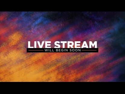 RADIANT PAINT LIVE STREAM