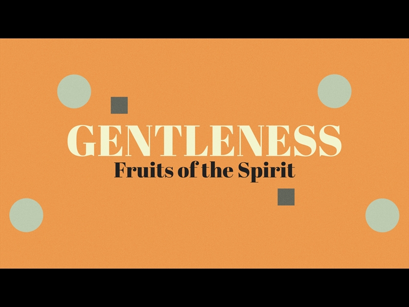 RETRO COLOR GENTLENESS