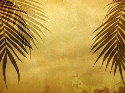 RUSTIC PALMS 01