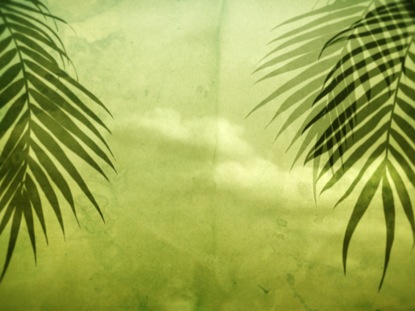 RUSTIC PALMS 02
