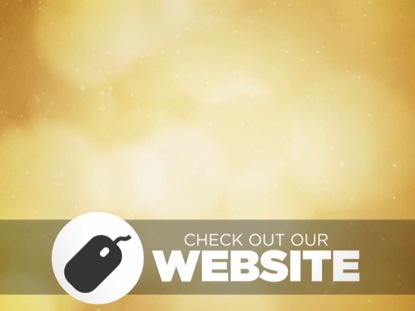 SPRING BOKEH WEBSITE