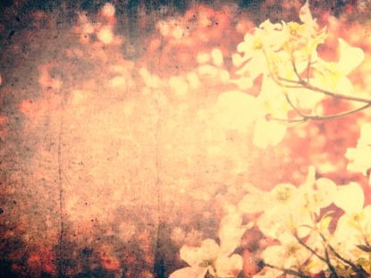 spring flowers 03 centerline new media youth worker spring ppt background