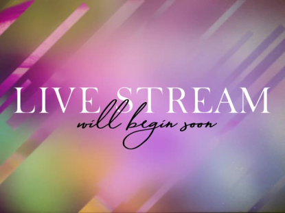 SPRING JOURNEY LIVE STREAM