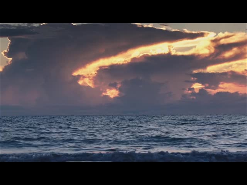 SPRING NATURE MOTION 01