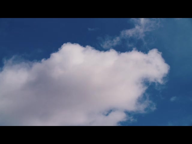 SPRING NATURE MOTION 04