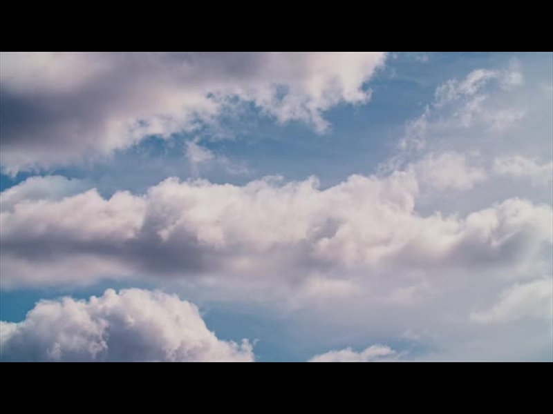 SPRING NATURE MOTION 05