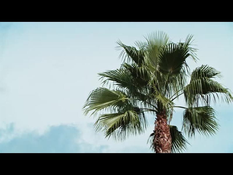 SPRING NATURE MOTION 07