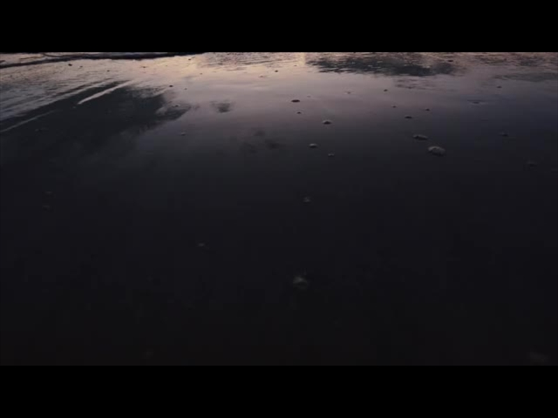 SPRING NATURE MOTION 12