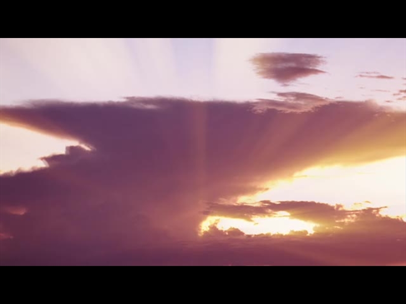 SPRING NATURE MOTION 14