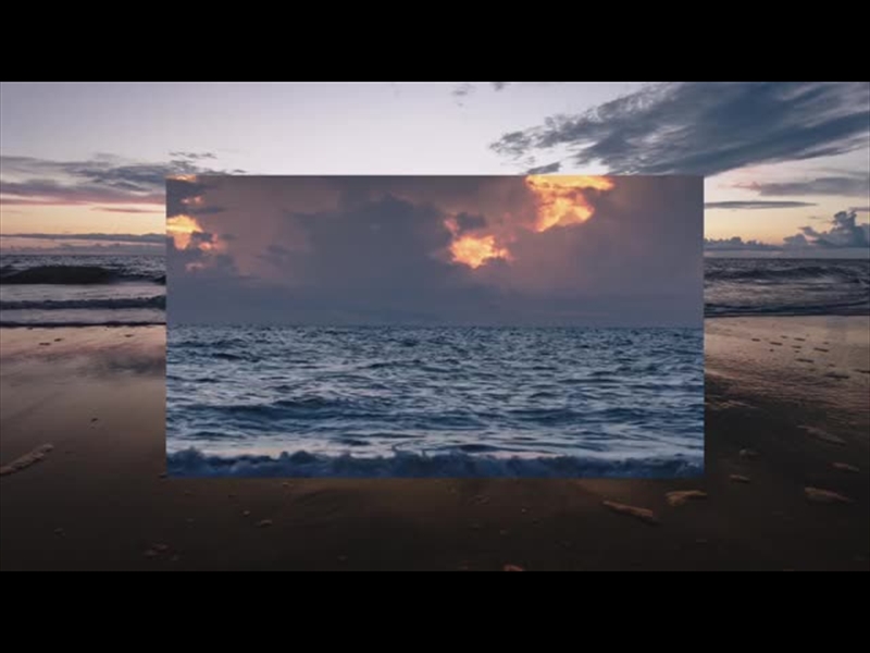 SPRING NATURE MOTION 17