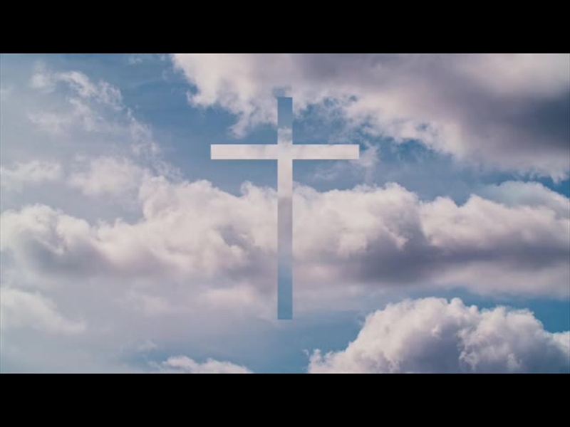 SPRING NATURE MOTION 19