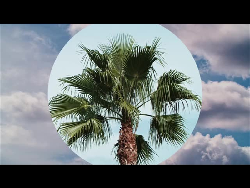 SPRING NATURE MOTION 20