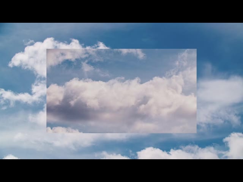 SPRING NATURE MOTION 21