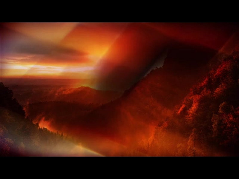 Subtle Fall Service Pack | Centerline New Media | Playback Media Store