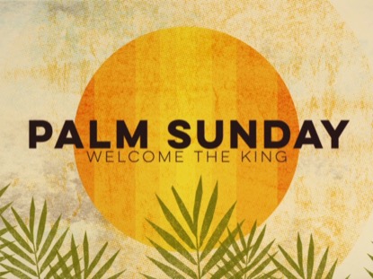 TEXTURED PALMS TITLE 02