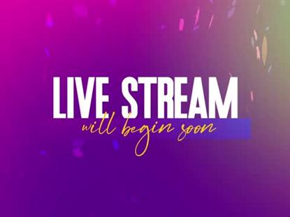 VIBRANT FALL LIVE STREAM