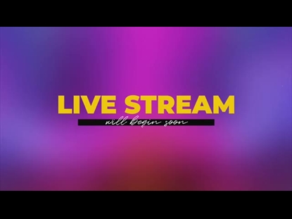 VINTAGE LIGHT LIVE STREAM