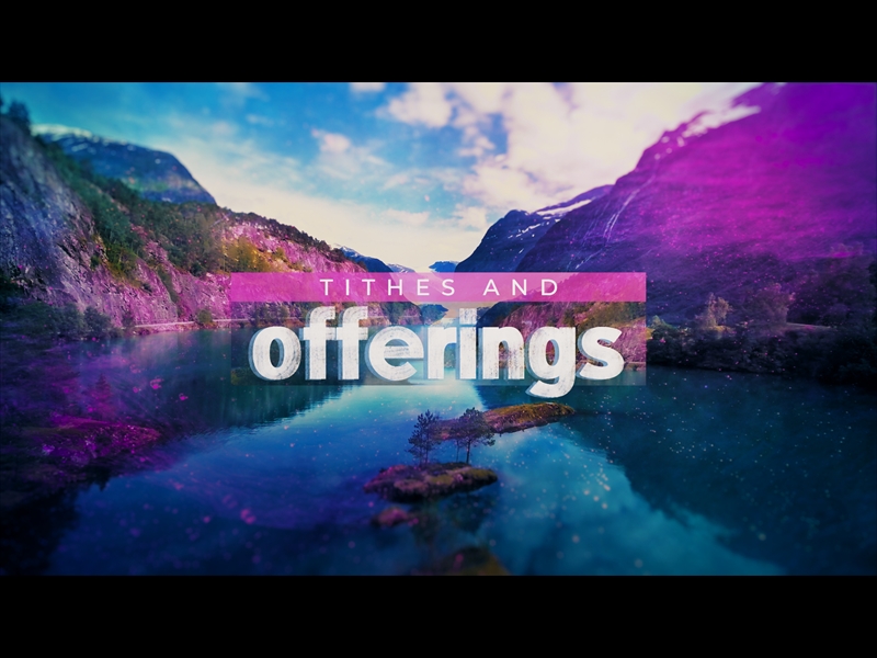 VIVID NATURE TITHES AND OFFERINGS