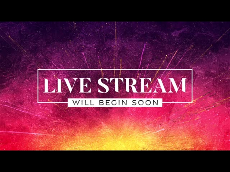 VIVID EASTER LIVE STREAM