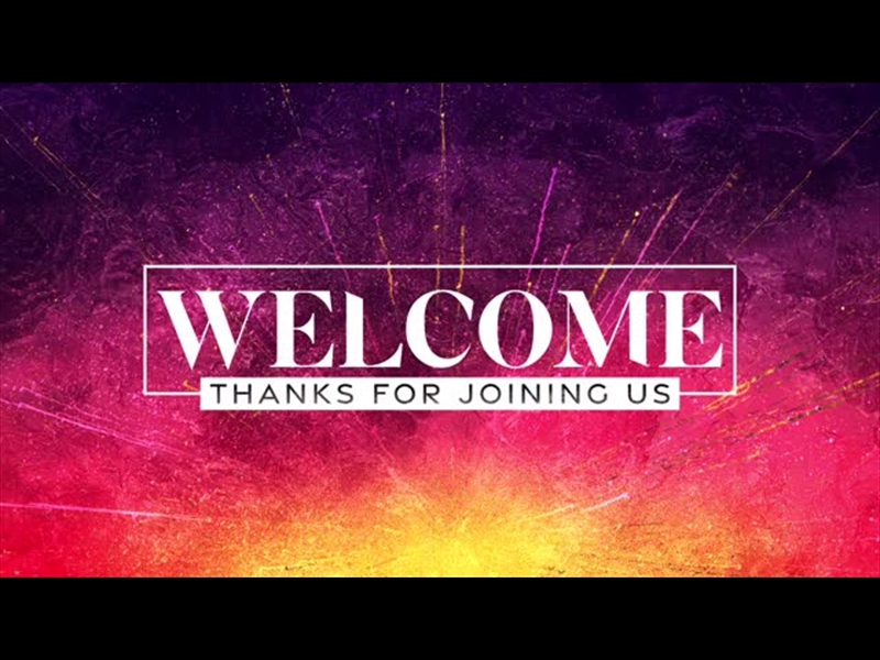 VIVID EASTER WELCOME 02