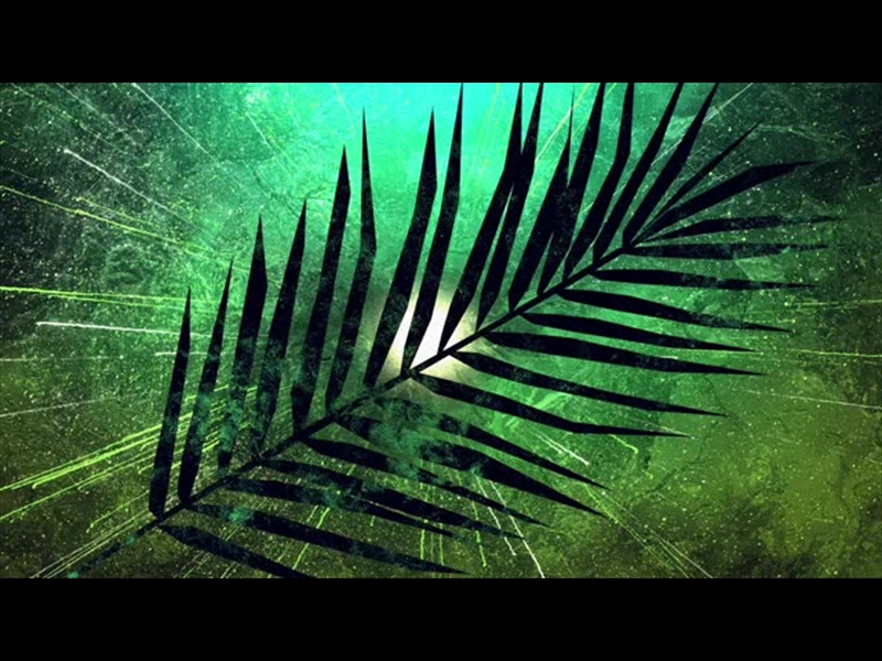 VIVID PALM SUNDAY 03