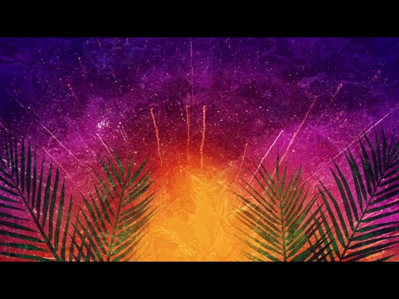 VIVID PALM SUNDAY 04