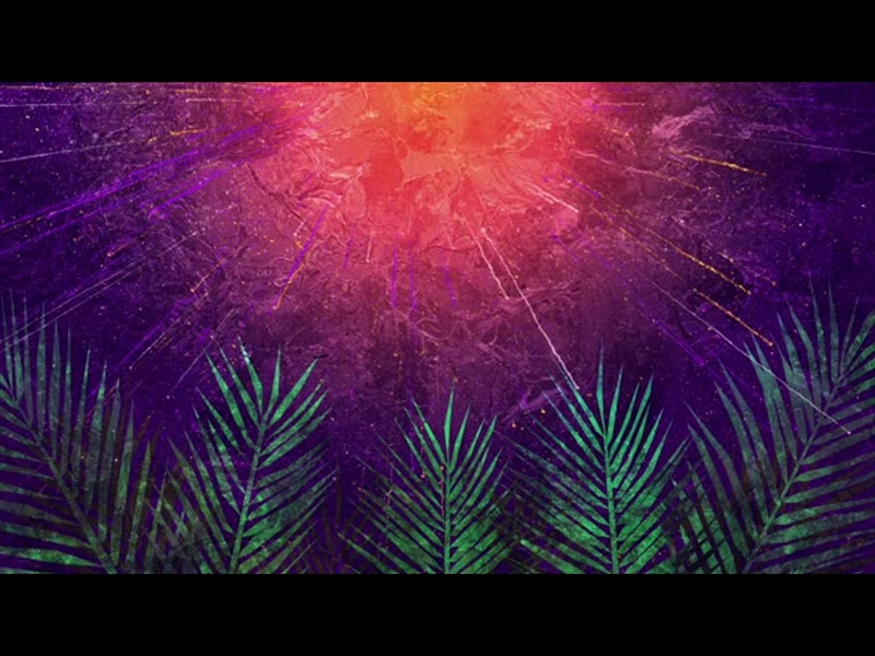 VIVID PALM SUNDAY 05