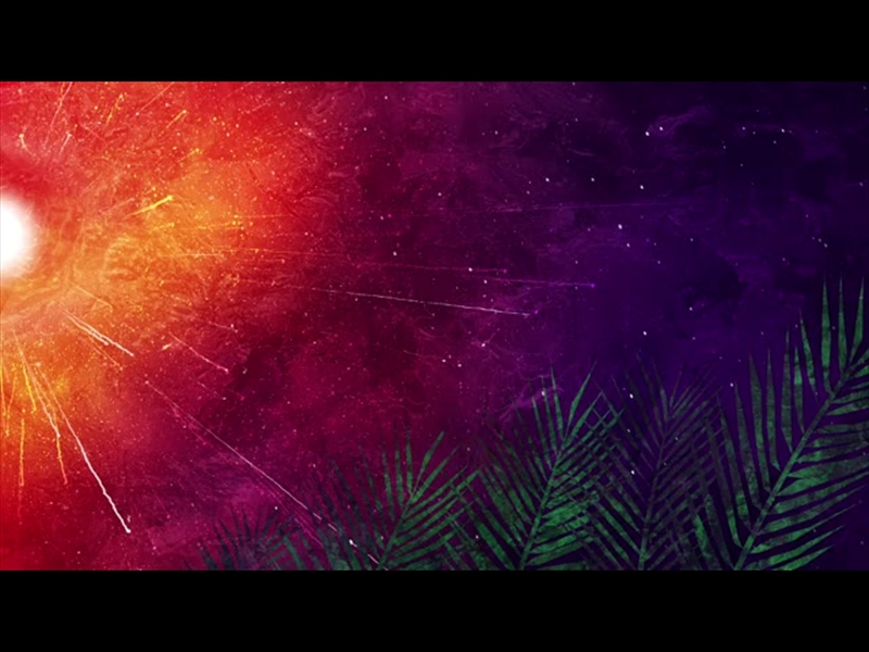 VIVID PALM SUNDAY 06