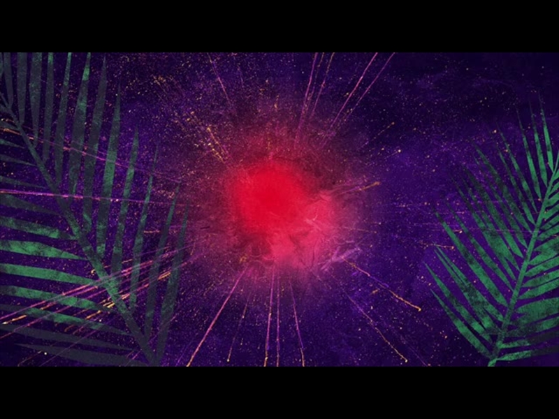 VIVID PALM SUNDAY 07