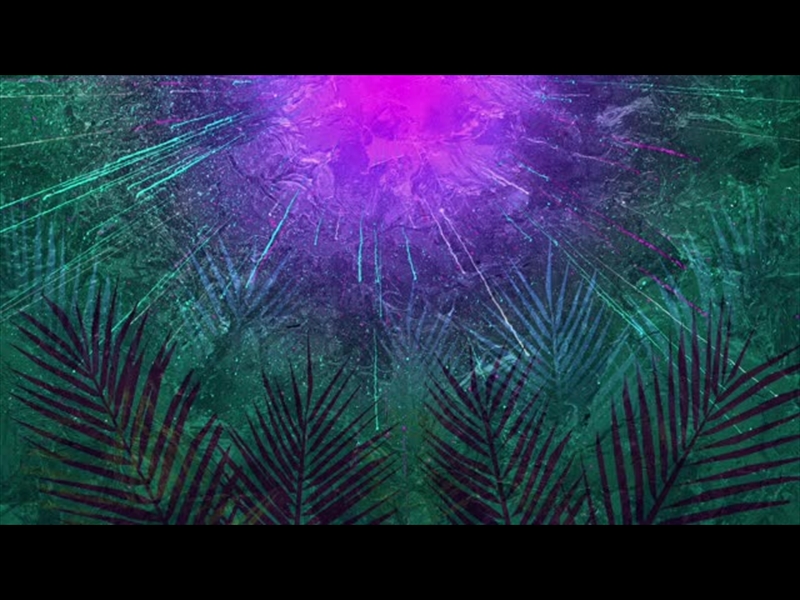 VIVID PALM SUNDAY 08