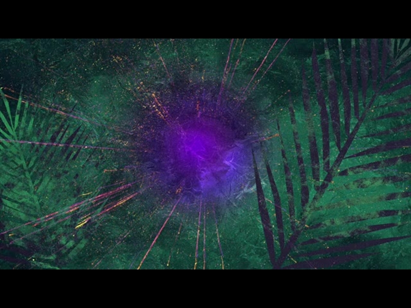 VIVID PALM SUNDAY 09