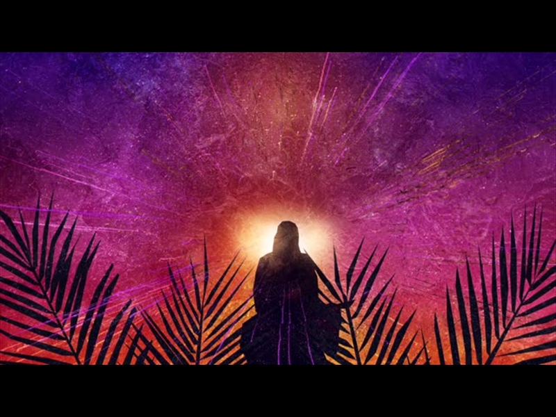 VIVID PALM SUNDAY 10