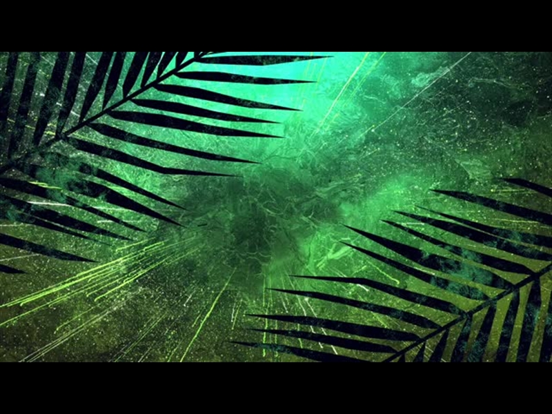 VIVID PALM SUNDAY 11