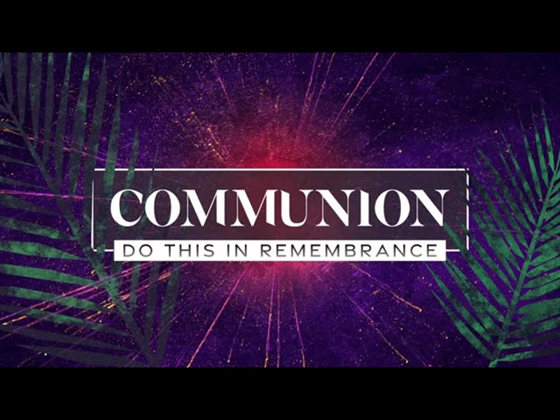 VIVID PALM SUNDAY COMMUNION