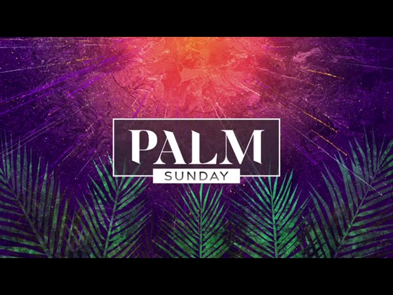 VIVID PALM SUNDAY PALM SUNDAY 02